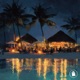 Midnight Palms Single