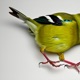 Green Birds Single