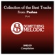 Collection of the Best Tracks From Pashaa Pt 4