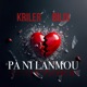 Pa ni lanmou feat Bilix Single
