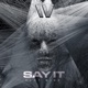 Say It Single