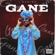 Gane Single