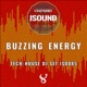 Buzzing Energy EP