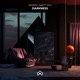 Darkness Single