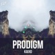 Prodigm Single