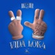 VIDA LOK4 Single