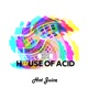 House of Acid Single