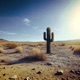 DESERT Single
