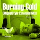 Burning Cold Single
