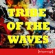 Tribe of the Waves Steve Sibra Remix Single