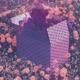California Poppy Single