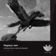 Pegasus Jam Dyook Remix Single