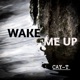 Wake me up Single