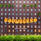 Sommerro Single