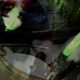 Cesspool feat Reas Single