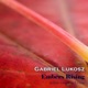 Embers Rising Single