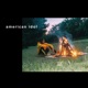 American Idol Single