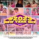 New Year Mix 2023 Single
