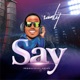 Say Single