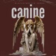 Canine Single