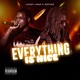 Everything is nice feat Dj Skycee Single