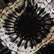 THE EMPTINESS OF TIME Single