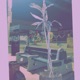 Need From You Single
