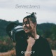 Seventeen Single