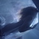 Inimă albastră Single