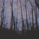 Serpent Tongue feat burden2u Single