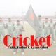 Cricket Single