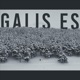 Galis es Single