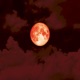 Moon Blood Single