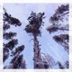 Lay Down Sonant Rework Single