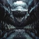 Delusions Single