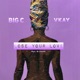 Lose Your Love feat Vkay Single