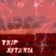 Trip Single