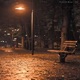 Lonely nights Single