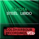 Steel Libido Single