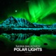 Polar Lights Single