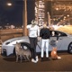 De Fuchs De Wolf