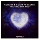 Waiting For You feat Laurell Single