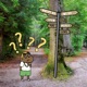 Where To Go Single
