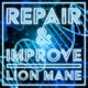 Repair Improve Single