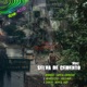 Selva de Cemento Single