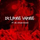 Delirios Varios feat IceCream Seven DENEK Single