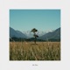 Big Steps Single