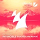Invincible Ducked Ape Remix Single