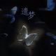 遗梦 Single