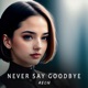 Never Say Goodbye Single